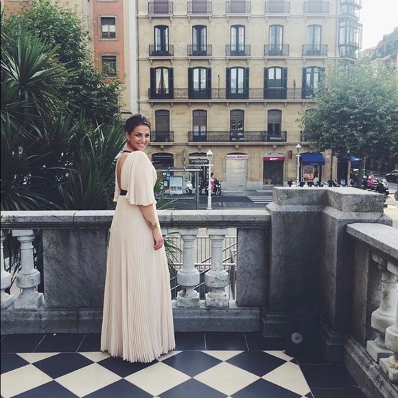 Blush Pleated Gown - Picture 5 of 5